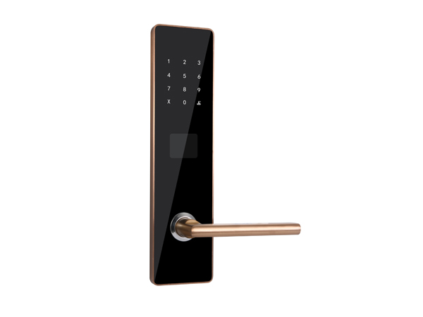 1556538843917555.jpg 1556538843917555.jpg