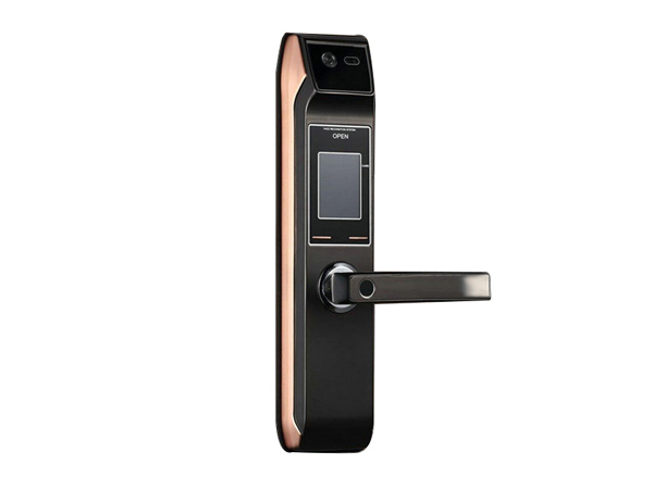 人臉識別密碼鎖 LBS-9002