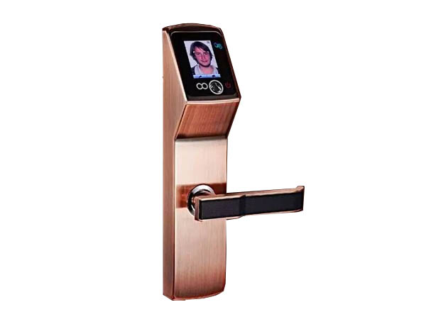 人臉識別密碼鎖 LBS-9001